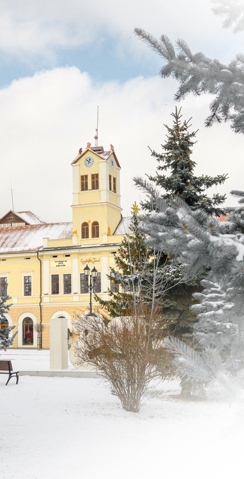 Orașul Sfântu Gheorghe